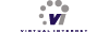 Virtual Internet